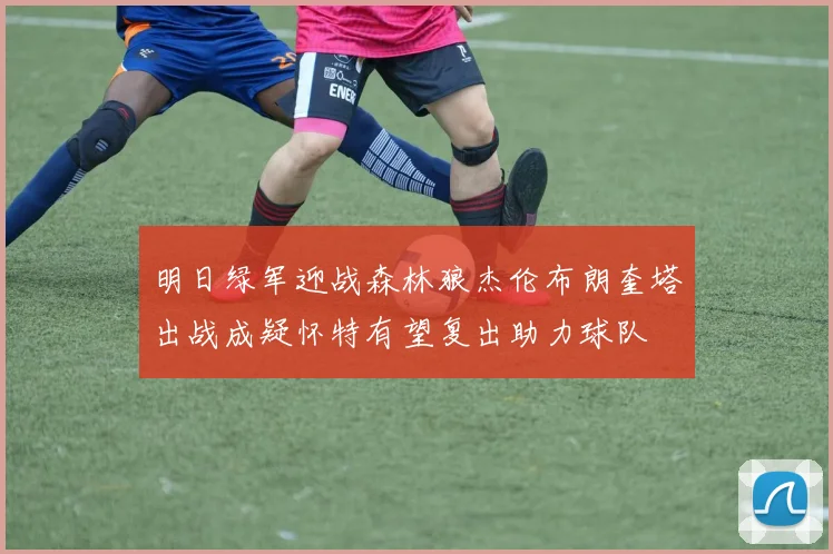 明日绿军迎战森林狼杰伦布朗奎塔出战成疑怀特有望复出助力球队