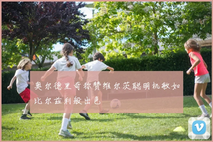 奥尔德里奇称赞维尔茨聪明机敏如比尔兹利般出色