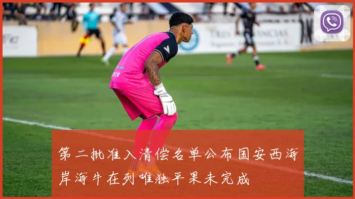 第二批准入清偿名单公布国安西海岸海牛在列唯独平果未完成