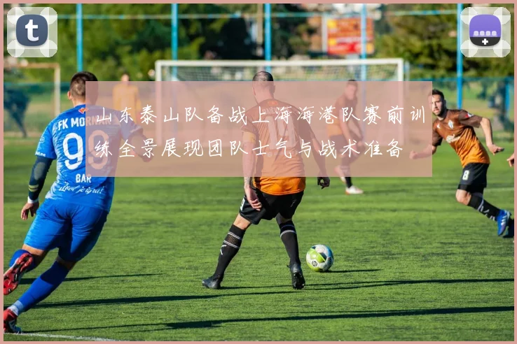 山东泰山队备战上海海港队赛前训练全景展现团队士气与战术准备