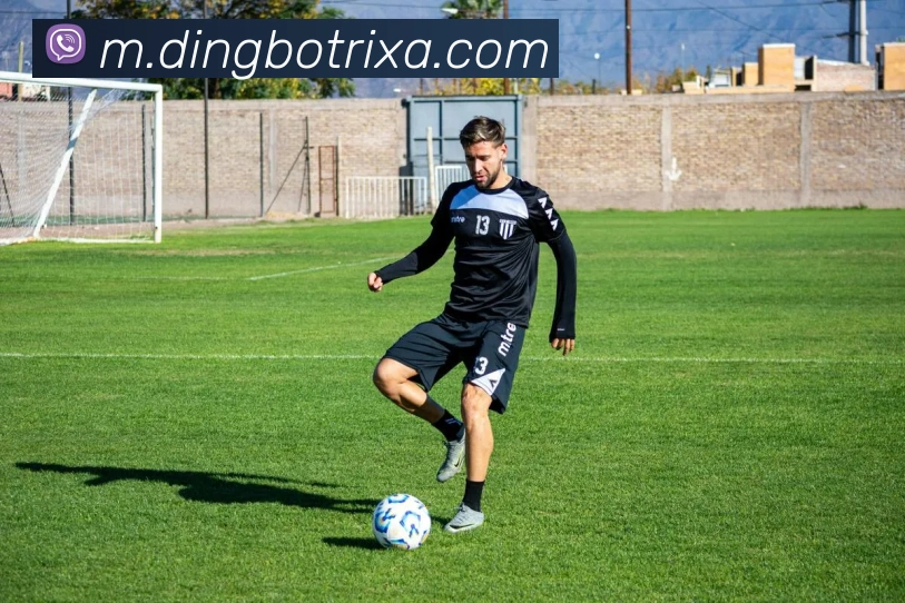 鼎博体育平台生态图